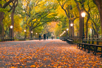 Top Fall Med Spa Procedures in New York City