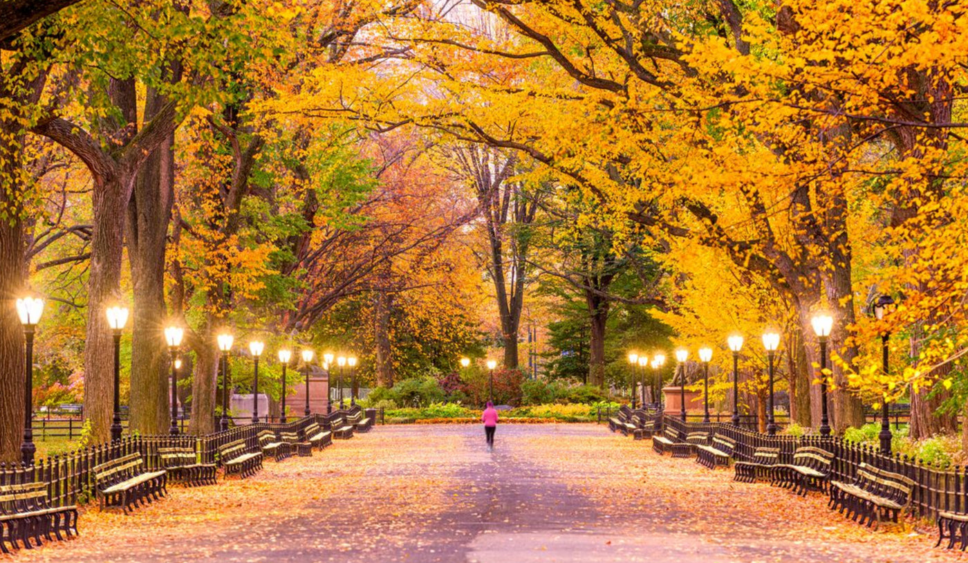 Fall Weight Loss Tips